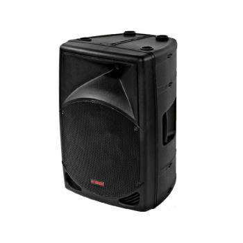 UNIVERSAL ALFA 10  10 250W 2YOLLU FULL RANGE HOPARLÖR.
